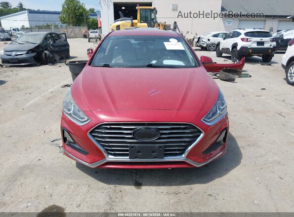 5NPE24AF9JH615161 2018 HYUNDAI SONATA Red Սալոնի հետևի տեսք