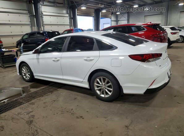 5NPE24AF9KH804460 2019 HYUNDAI SONATA White Задня ліва чверть