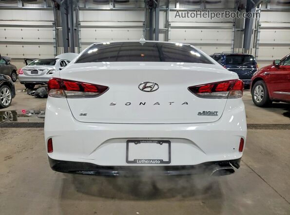 5NPE24AF9KH804460 2019 HYUNDAI SONATA White Вид ззаду