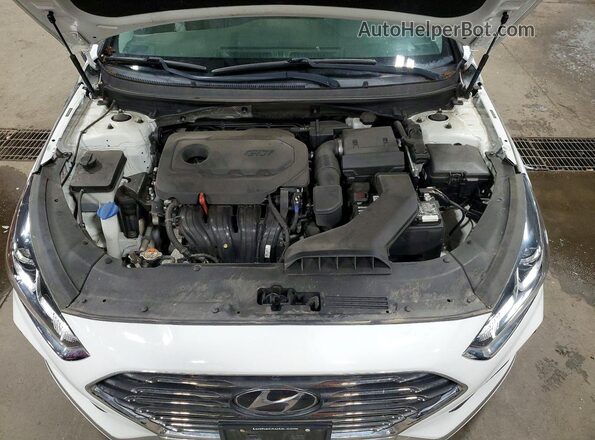 5NPE24AF9KH804460 2019 HYUNDAI SONATA White Вид задньої частини салону