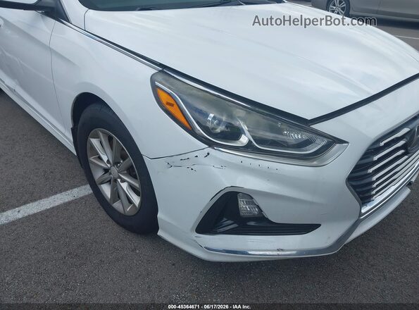 5NPE24AF9KH804474 2019 HYUNDAI SONATA White Դիմացի տեսք