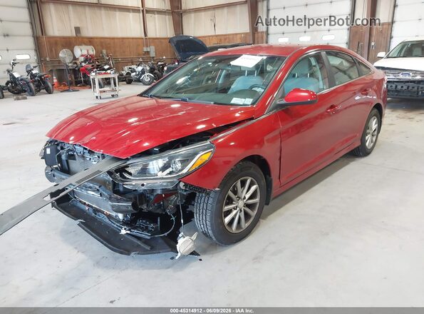 5NPE24AF9KH810338 2019 HYUNDAI SONATA Red 