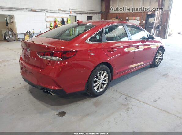 5NPE24AF9KH810338 2019 HYUNDAI SONATA Red 