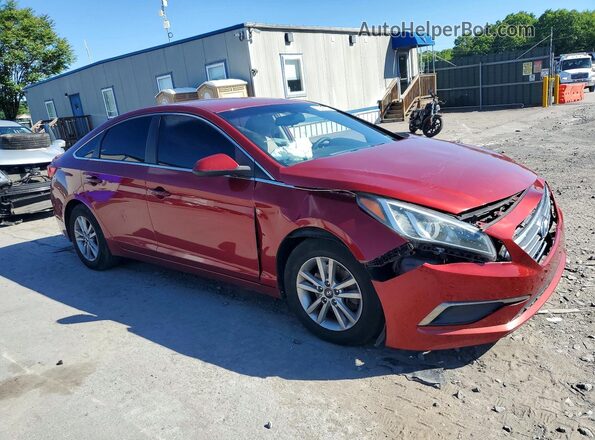5NPE24AFXGH261014 2016 HYUNDAI SONATA Burgundy 