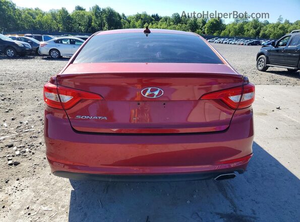 5NPE24AFXGH261014 2016 HYUNDAI SONATA Burgundy 