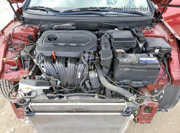 5NPE24AFXGH420470 2016 HYUNDAI SONATA Red Սալոնի հետևի տեսք