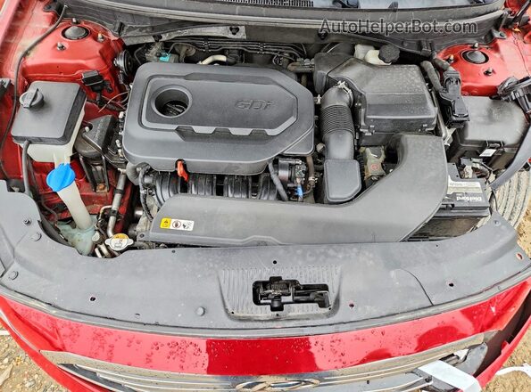 5NPE24AFXHH526807 2017 HYUNDAI SONATA Red 