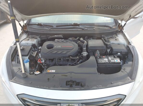5NPE34AB8HH446643 2017 HYUNDAI SONATA Silver Widok z tyłu
