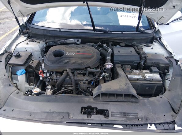 5NPE34AB9KH795785 2019 HYUNDAI SONATA White უკანა ხედი