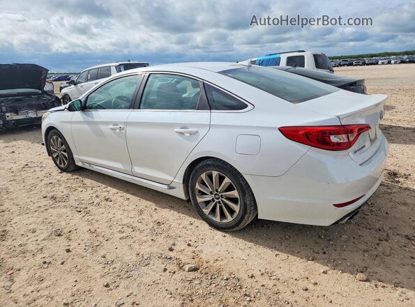 5NPE34AF0GH261567 2016 HYUNDAI SONATA White 