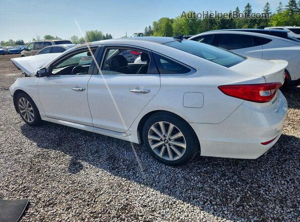 5NPE34AF0GH367193 2016 HYUNDAI SONATA White Trasero izquierdo