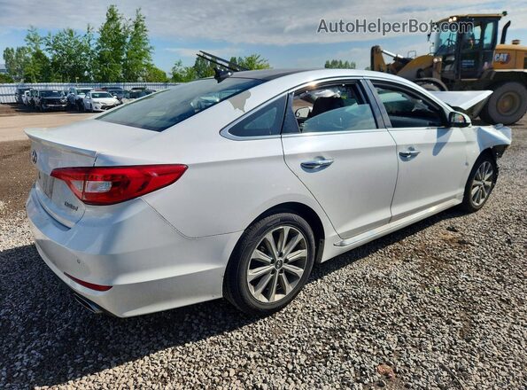 5NPE34AF0GH367193 2016 HYUNDAI SONATA White Trasero derecho
