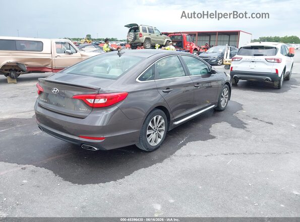 5NPE34AF0GH435332 2016 HYUNDAI SONATA Gray Tył prawy