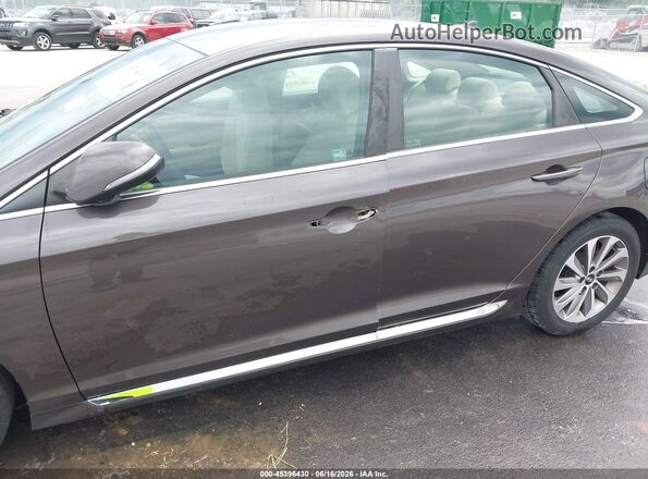 5NPE34AF0GH435332 2016 HYUNDAI SONATA Gray Widok z przodu