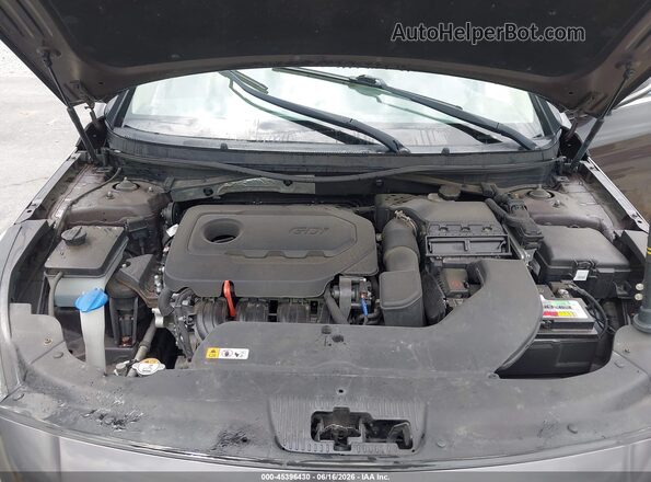 5NPE34AF0GH435332 2016 HYUNDAI SONATA Gray Widok z tyłu