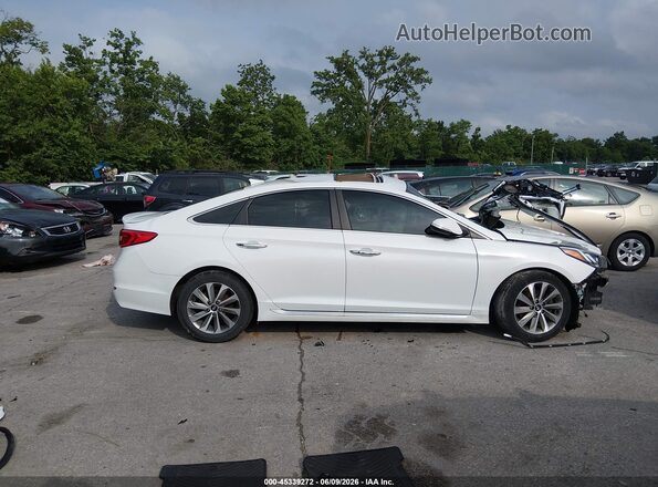 5NPE34AF0HH517658 2017 HYUNDAI SONATA White Rear interior view