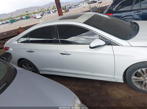 5NPE34AF0JH695804 2018 HYUNDAI SONATA White Սալոնի հետևի տեսք