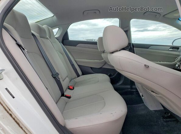 5NPE34AF0KH775024 2019 HYUNDAI SONATA White უკანა სავარძლების ხედი