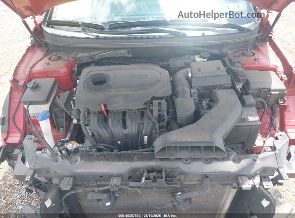 5NPE34AF0KH809012 2019 HYUNDAI SONATA Red Widok z tyłu