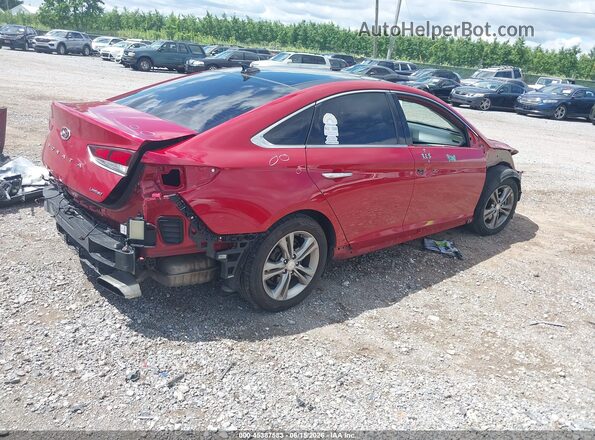 5NPE34AF0KH809012 2019 HYUNDAI SONATA Red Tył prawy