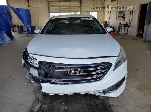 5NPE34AF1GH261920 2016 HYUNDAI SONATA Белый Вид спереди