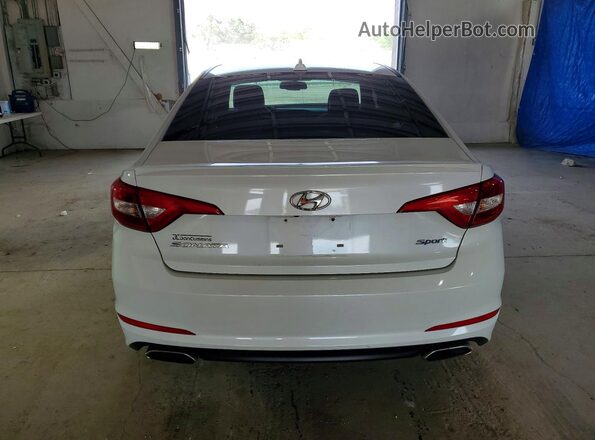 5NPE34AF1GH261920 2016 HYUNDAI SONATA Белый Вид сзади