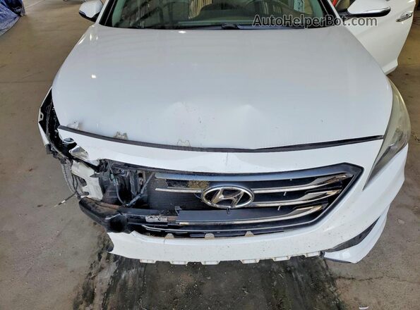 5NPE34AF1GH261920 2016 HYUNDAI SONATA Белый Вид задней части салона