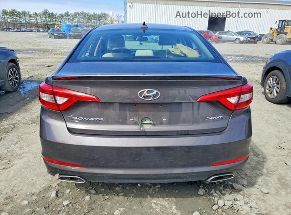 5NPE34AF1GH282685 2016 HYUNDAI SONATA Brown Widok z tyłu