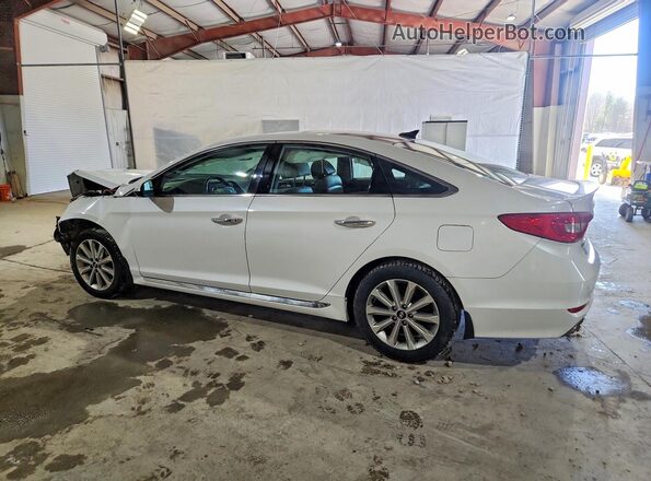 5NPE34AF1GH292133 2016 HYUNDAI SONATA White 