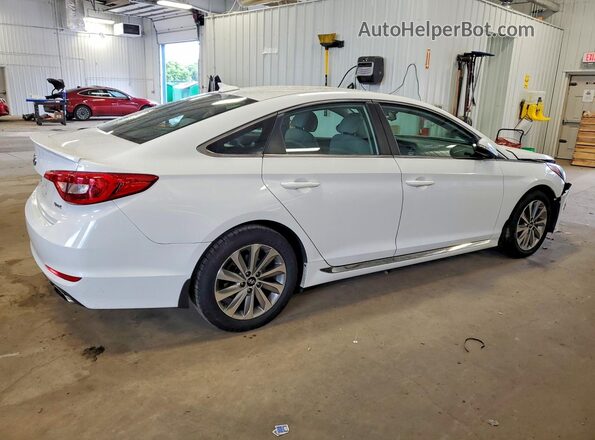 5NPE34AF1GH342478 2016 HYUNDAI SONATA Белый Задняя правая четверть