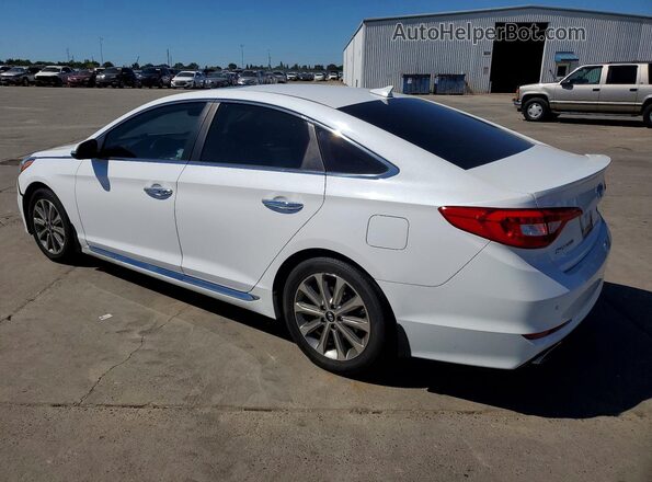 5NPE34AF1HH543170 2017 HYUNDAI SONATA Белый 