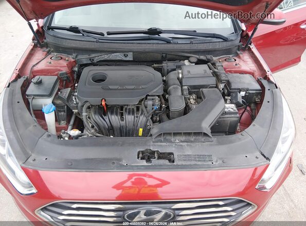 5NPE34AF2JH596899 2018 HYUNDAI SONATA Red Widok z tyłu