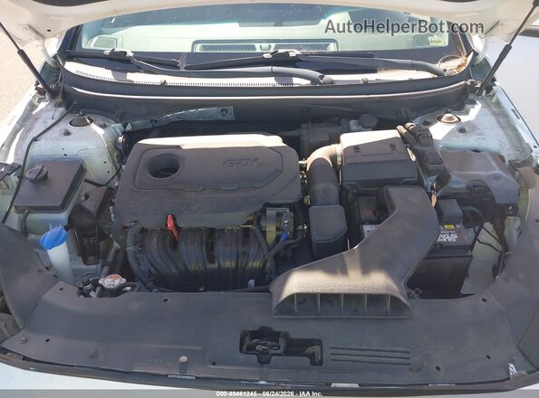 5NPE34AF2KH789314 2019 HYUNDAI SONATA White უკანა ხედი