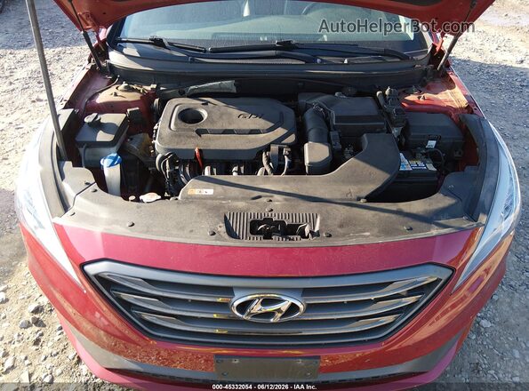 5NPE34AF3HH579233 2017 HYUNDAI SONATA Red Widok z tyłu