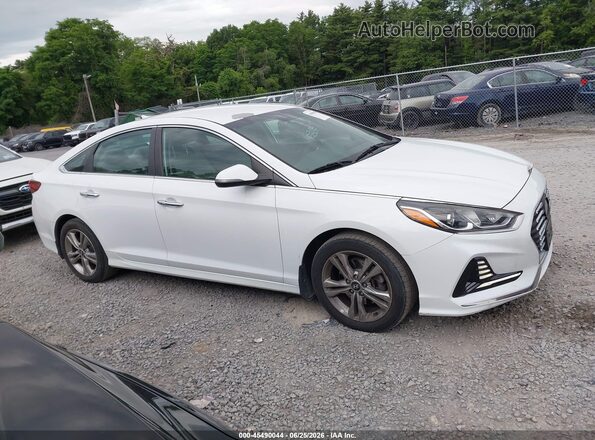 5NPE34AF3JH635905 2018 HYUNDAI SONATA White Սալոնի հետևի տեսք