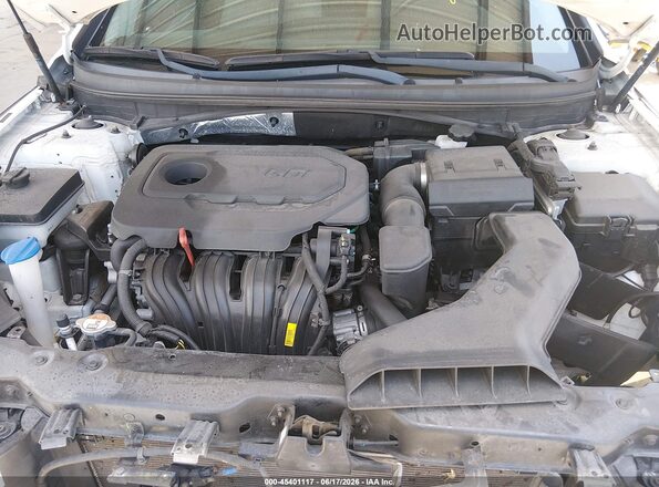 5NPE34AF3JH724051 2018 HYUNDAI SONATA White უკანა ხედი