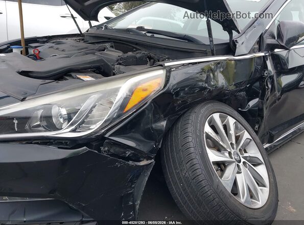 5NPE34AF4GH336710 2016 HYUNDAI SONATA Black 