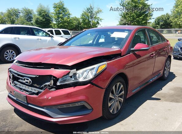 5NPE34AF4GH423006 2016 HYUNDAI SONATA Red Передня ліва чверть