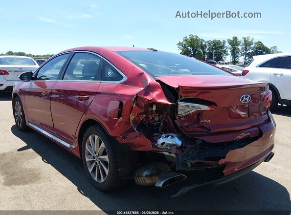 5NPE34AF4GH423006 2016 HYUNDAI SONATA Red Задня ліва чверть