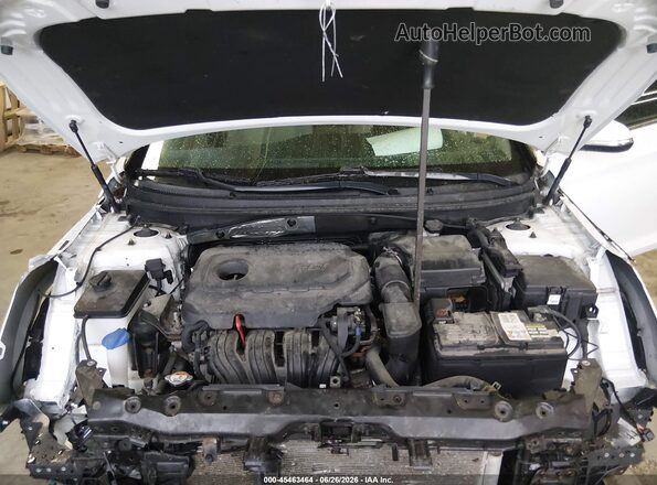 5NPE34AF4HH555586 2017 HYUNDAI SONATA White Вид ззаду