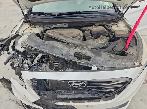 5NPE34AF4HH583114 2017 HYUNDAI SONATA White Widok wnętrza z tyłu