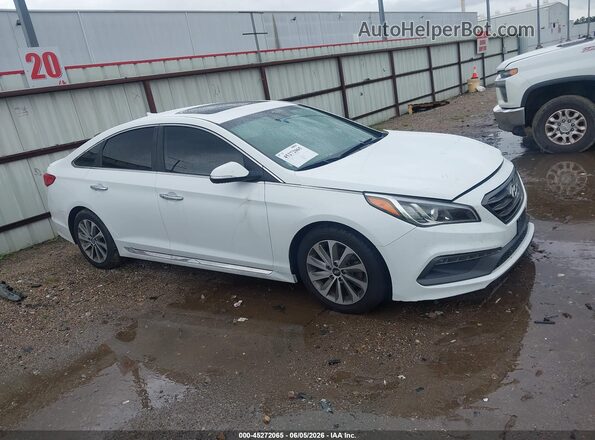 5NPE34AF5GH349479 2016 HYUNDAI SONATA White Rear interior view