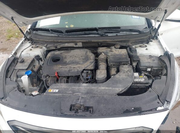 5NPE34AF5GH349479 2016 HYUNDAI SONATA White Rear view