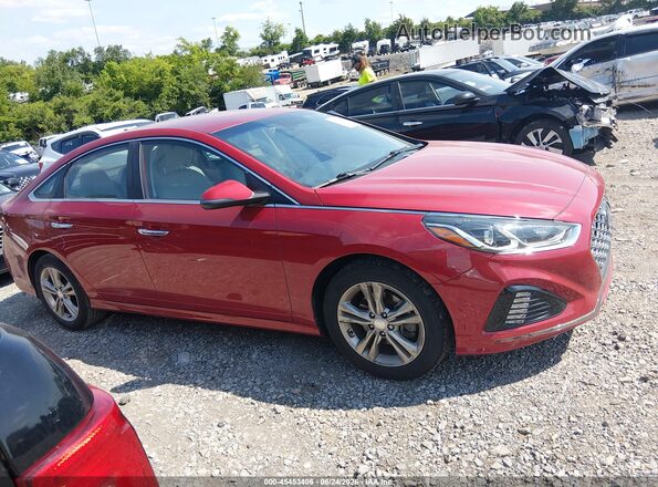 5NPE34AF5KH747378 2019 HYUNDAI SONATA Красный Вид задней части салона