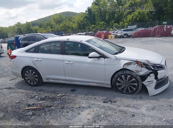 5NPE34AF6GH316457 2016 HYUNDAI SONATA Белый Вид задней части салона