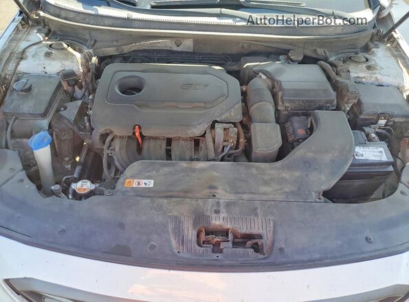 5NPE34AF6GH343223 2016 HYUNDAI SONATA White Rear interior view