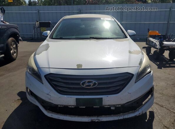 5NPE34AF6GH343223 2016 HYUNDAI SONATA White Front view