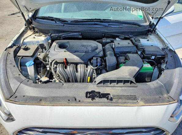 5NPE34AF6JH621089 2018 HYUNDAI SONATA Белый Вид задней части салона