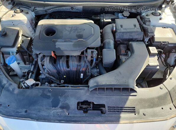 5NPE34AF6KH812187 2019 HYUNDAI SONATA White Вид задньої частини салону