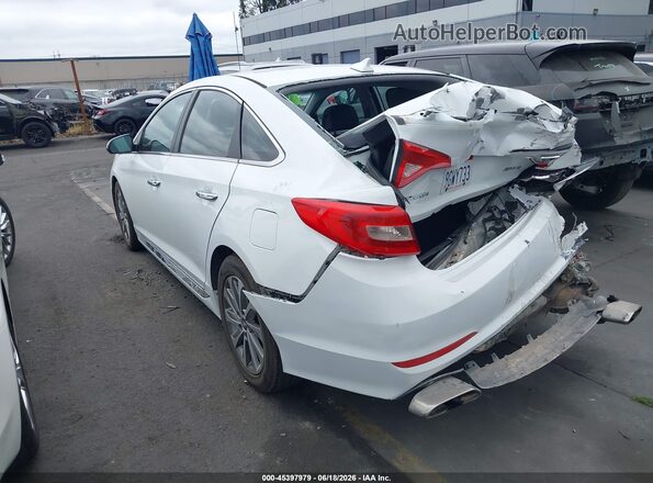 5NPE34AF7GH316130 2016 HYUNDAI SONATA White Задня ліва чверть